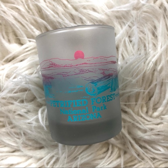 Vintage Petrified Natl Park AZ 1990 Cocktail Glass